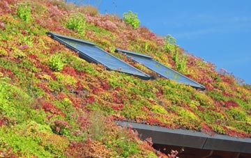 Skellorn Green living roof systems