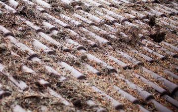 Skellorn Green roof cleaning companies