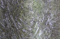 Skellorn Green fibreglass roof work